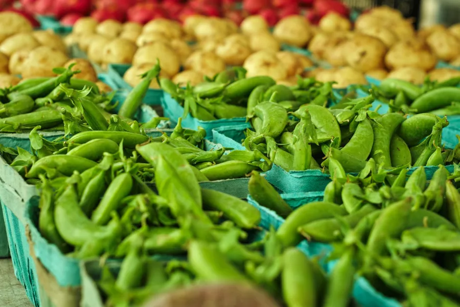 Maple Grove Farmers Market