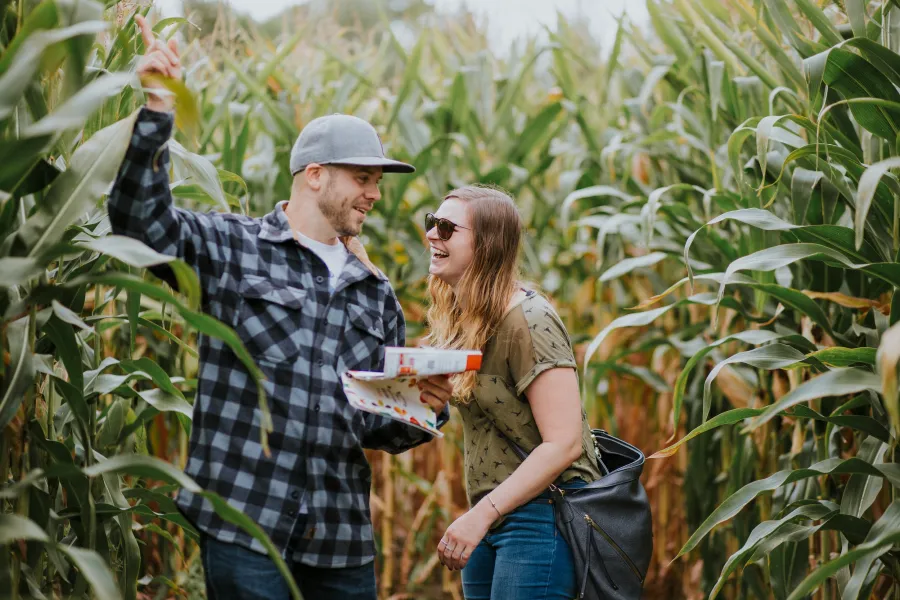 Sever's Corn Maze & Fall Festival