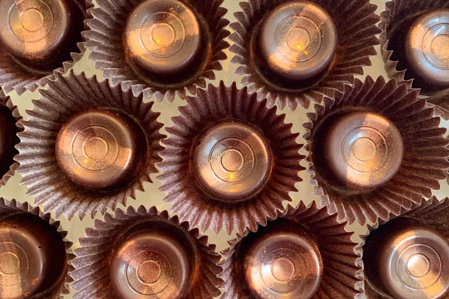 Food & Drink Phenoms    