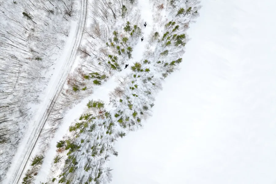 Winter fat biking at Cuyuna Country State Recreation Area