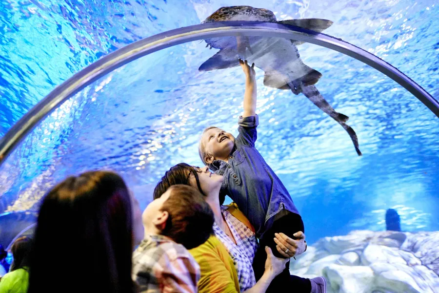 SEA LIFE at Mall of America