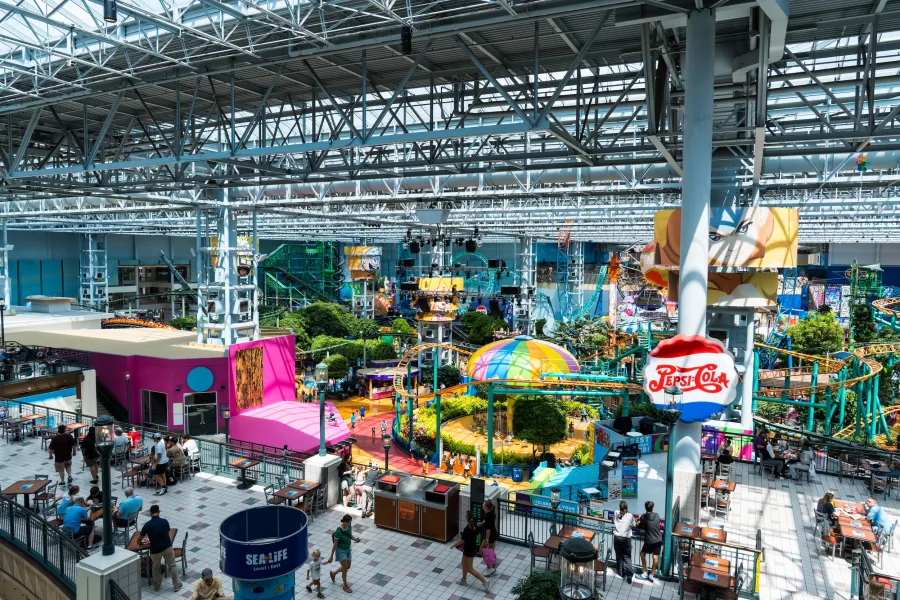 A Guide to Sensory-Friendly Attractions 