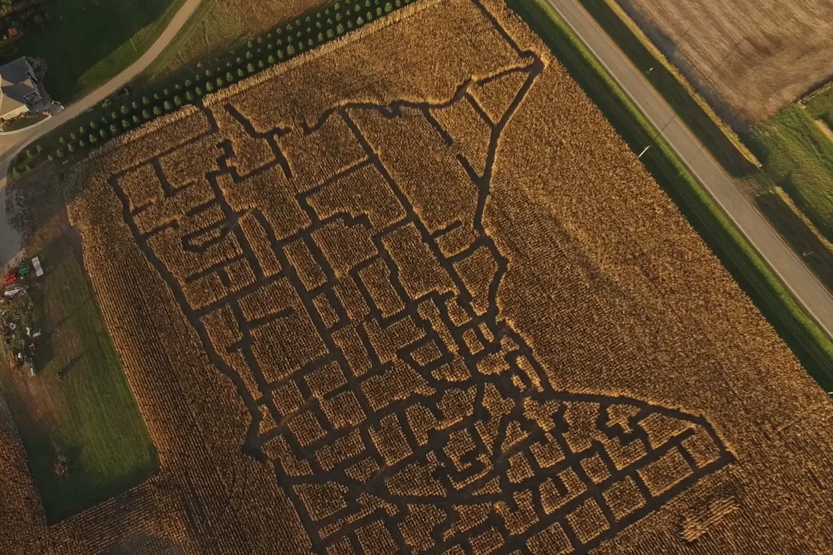 Corn maze at Rock River Pumpkin Festival in Edgerton