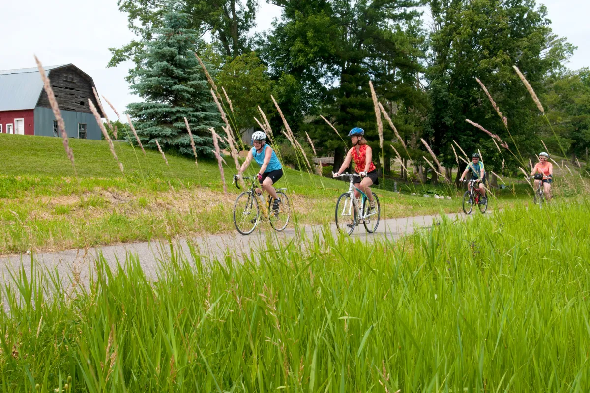 Bicyclists on the Paul Bunyan State Trail
