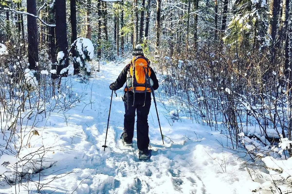 Snowshoeing in winter forest