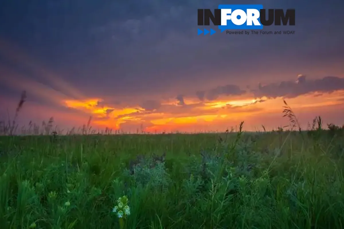Sunset over the tall grass of the prairie