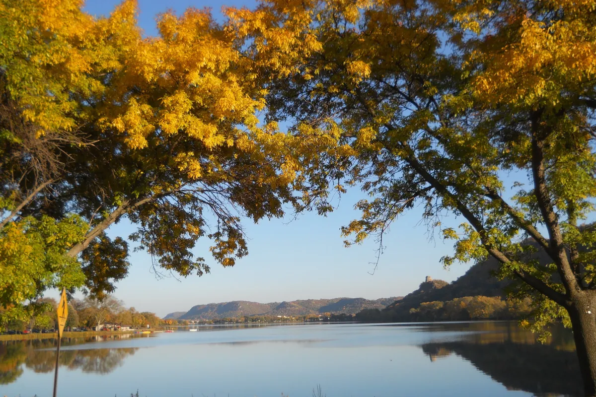 Fall colors along the Sugar Loaf bluff in Winona