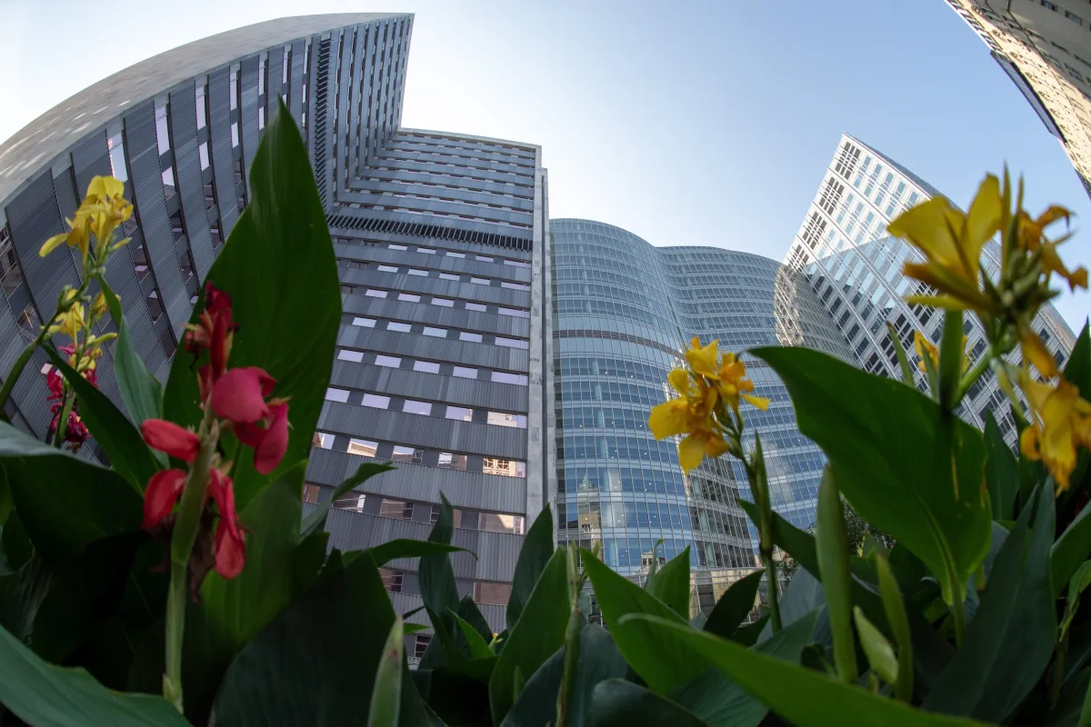 Mayo Clinic exterior with flowers