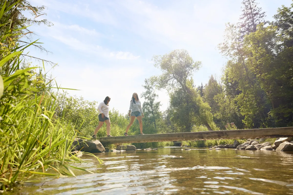 Mississippi River Headwaters at Itasca State Park