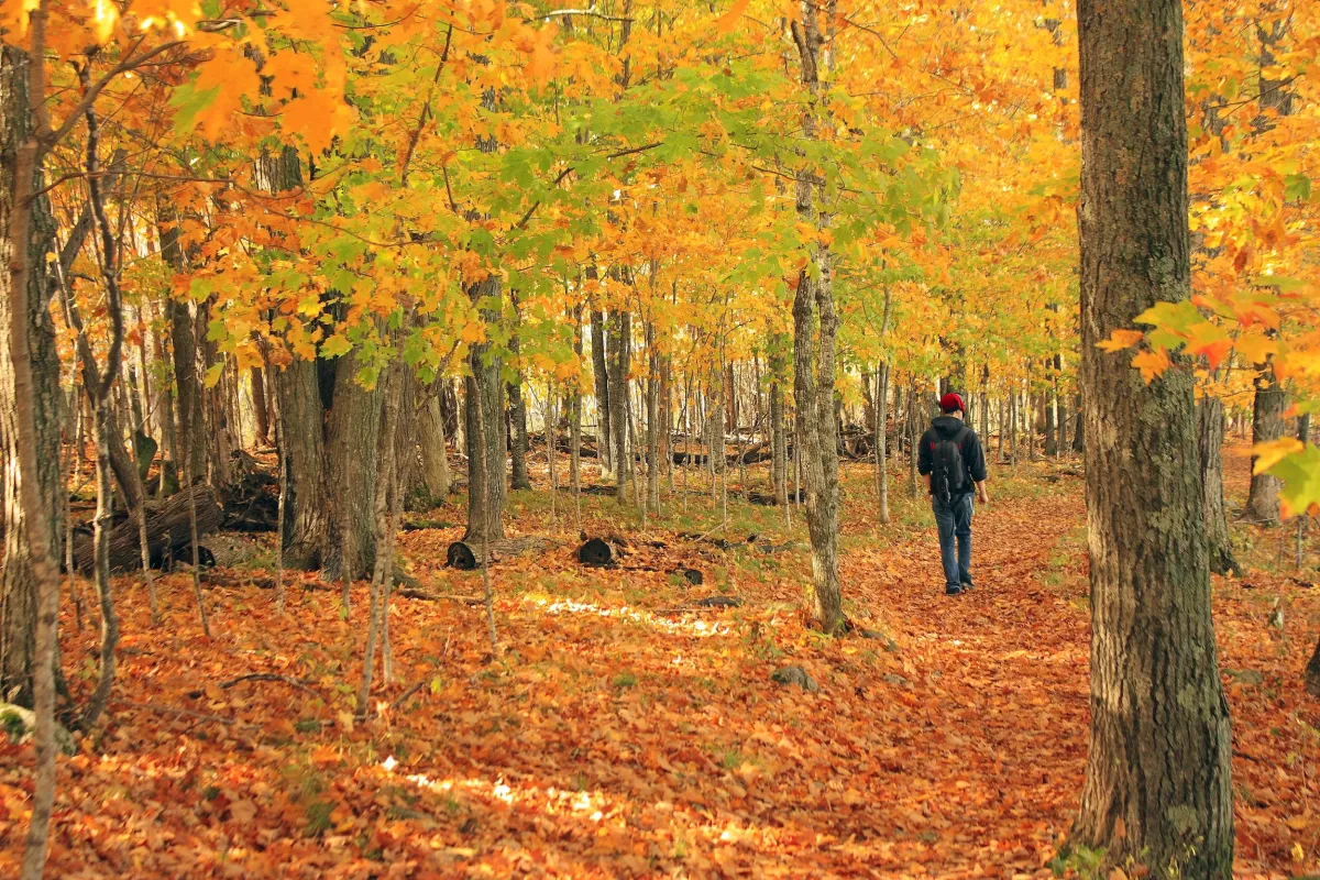 Fall hike Father Hennepin State Park