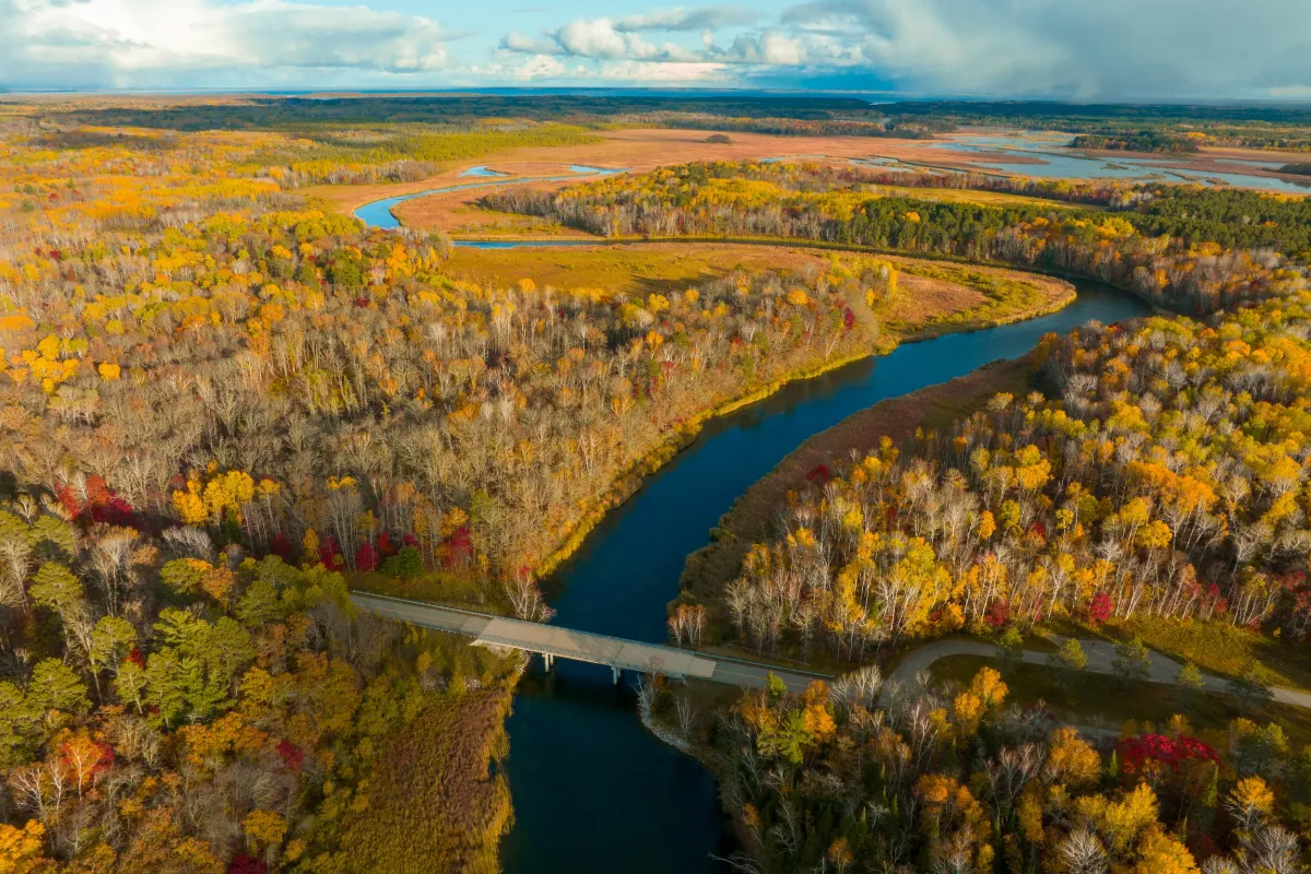 Fall colors in Bemidji