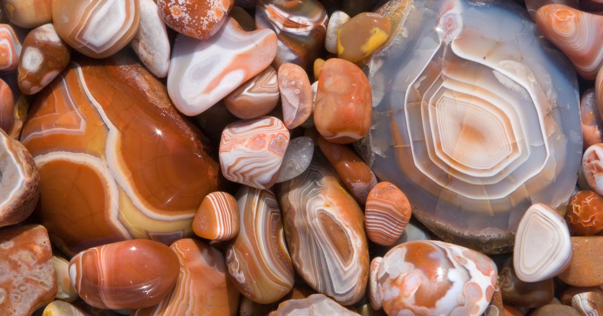 Hunt For Agates and Hinckley’s Most Iconic Pastry on the Way to Moose