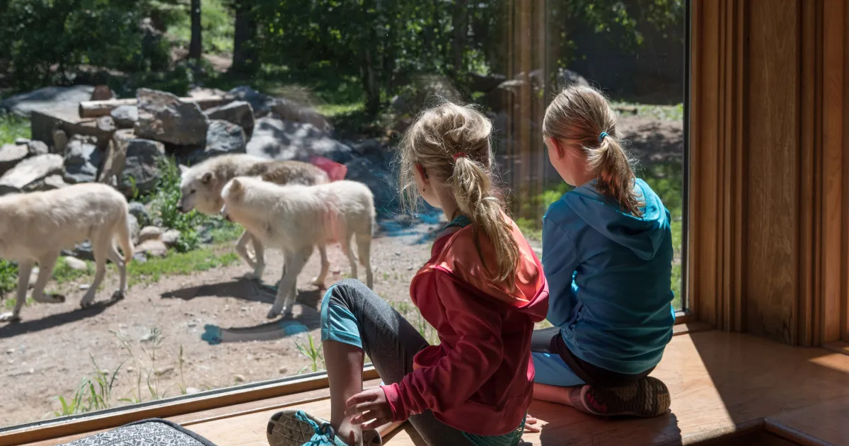 School Break 'Staycations' For Kids of All Ages | Explore Minnesota