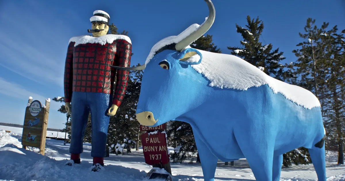 Minnesota in Winter