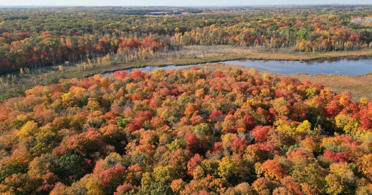 Things to Do in Alexandria | Explore Minnesota