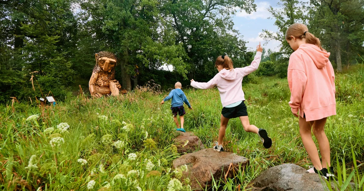 Minnesota in Summer