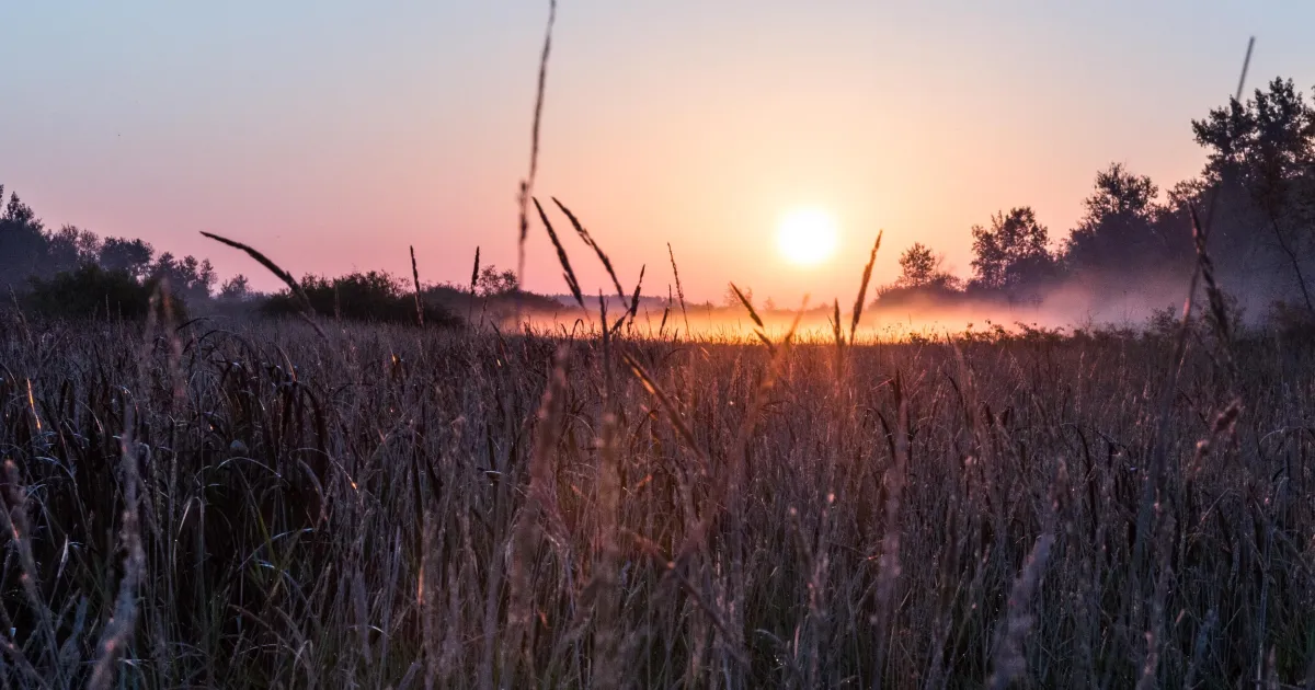 Things to Do in Minnesota's Red River Valley