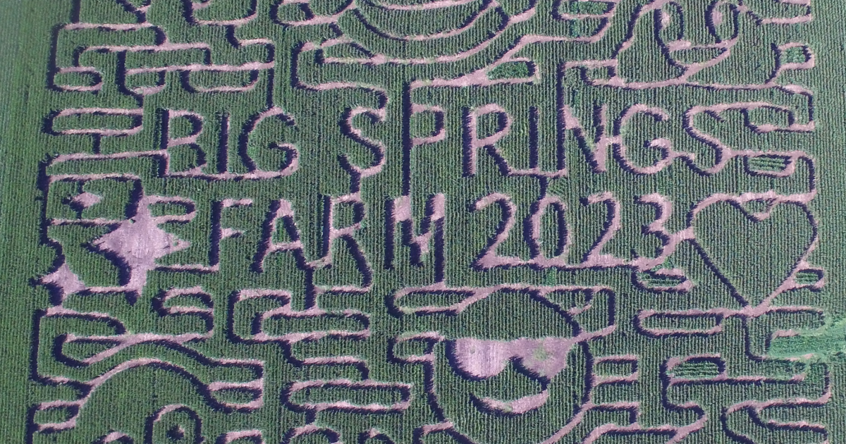 Big Springs Farm Pumpkins & Corn Maze LLC Explore Minnesota