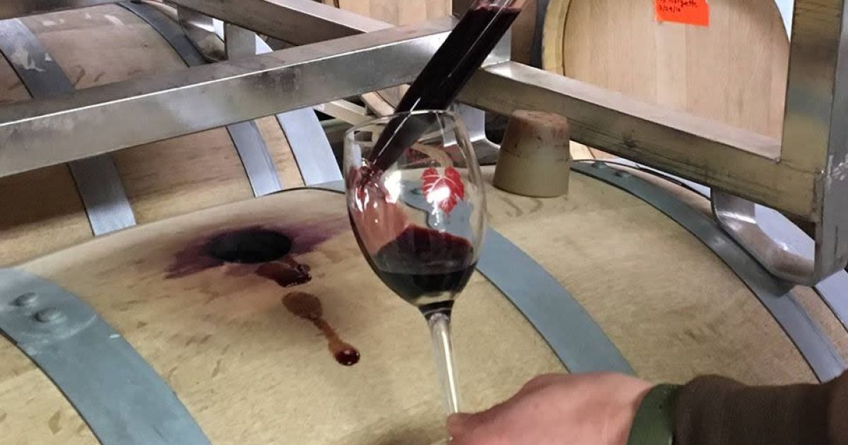 Winemaker's Barrel Tasting Explore Minnesota