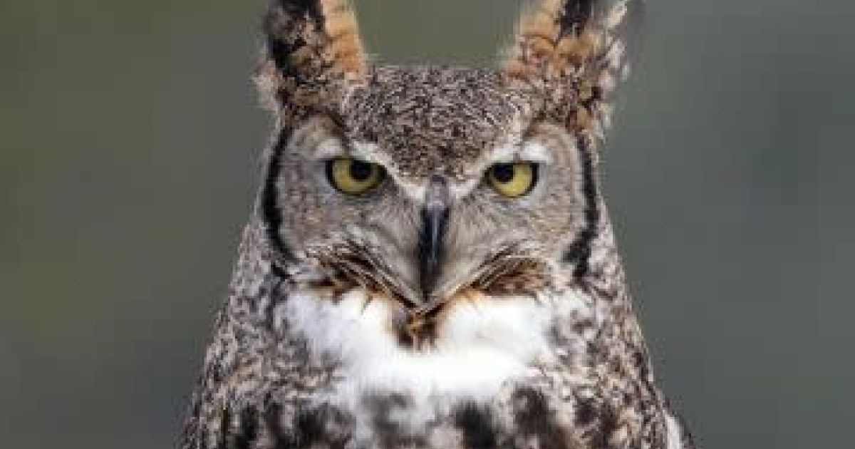 Houston Area Chamber of Commerce Explore Minnesota