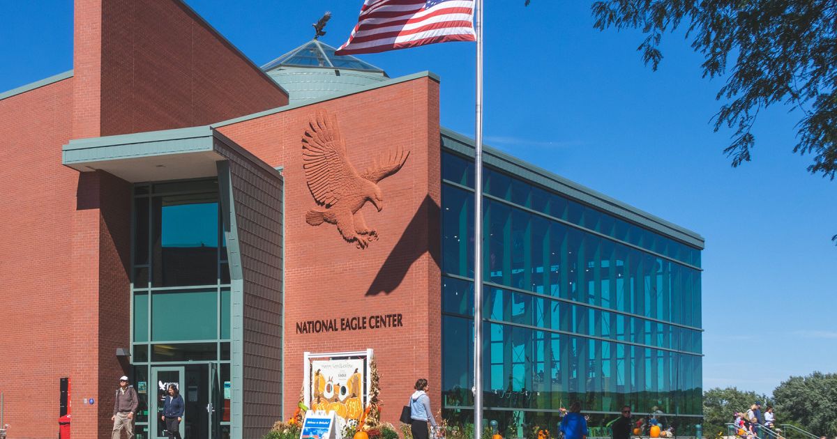 National Eagle Center | Explore Minnesota