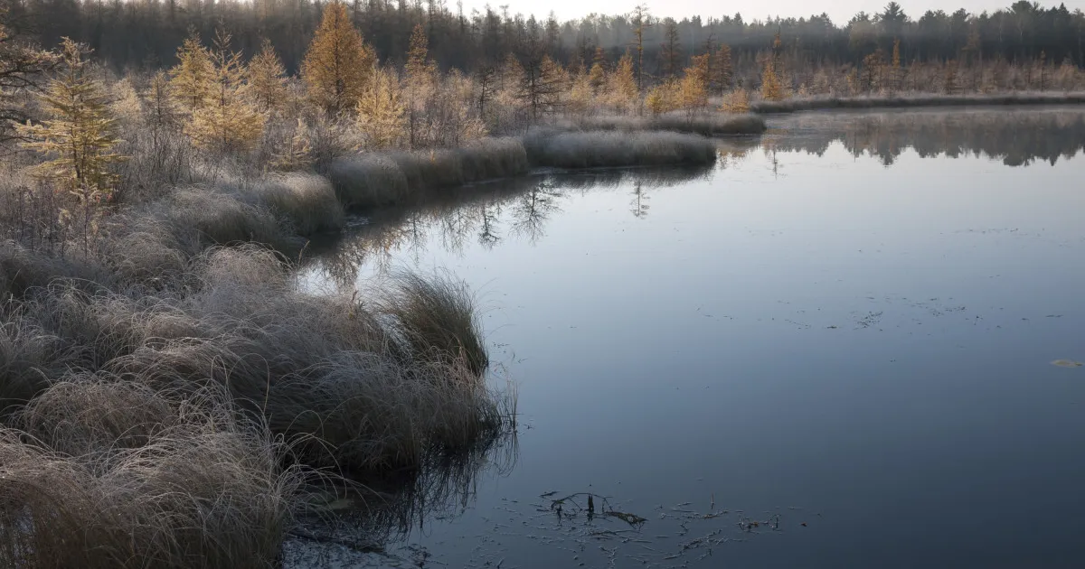 Lake Bemidji State Park | Explore Minnesota