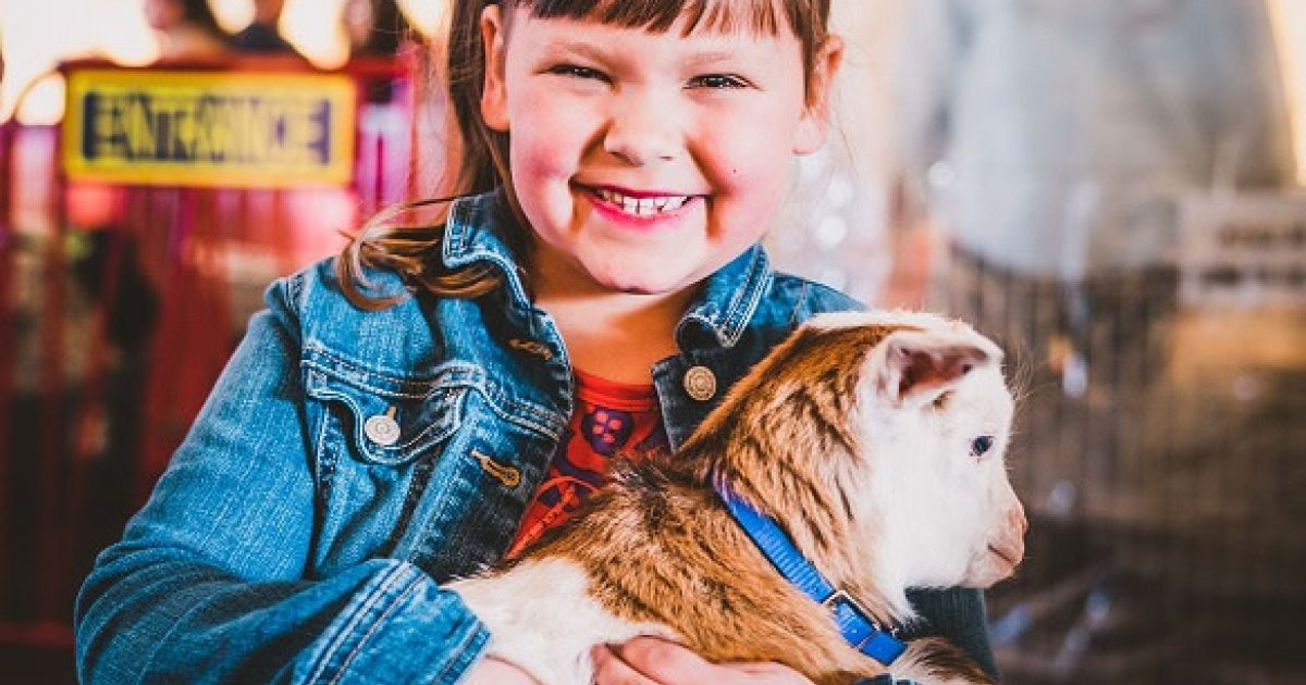 Twin Cities Spring Babies Festival Explore Minnesota