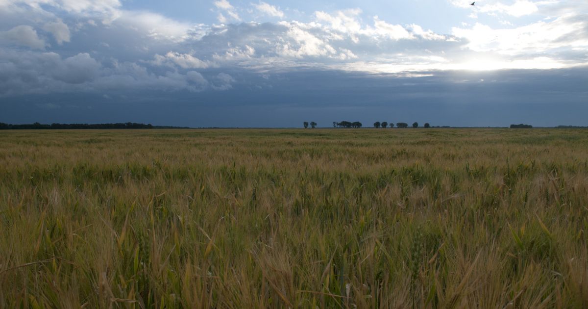 Lake Bronson State Park Explore Minnesota