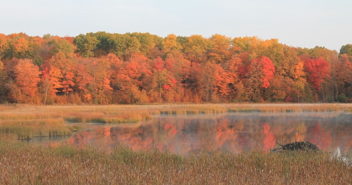 Tamarac National Wildlife Refuge Explore Minnesota