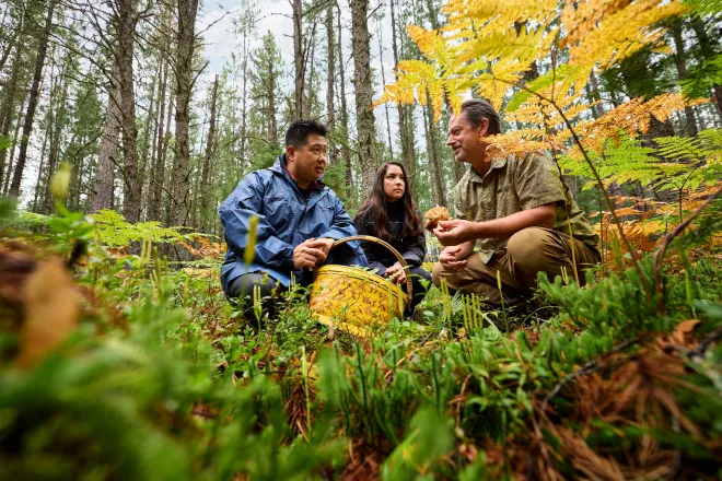 Searching for mushrooms in Eveleth with the Gentleman Forager