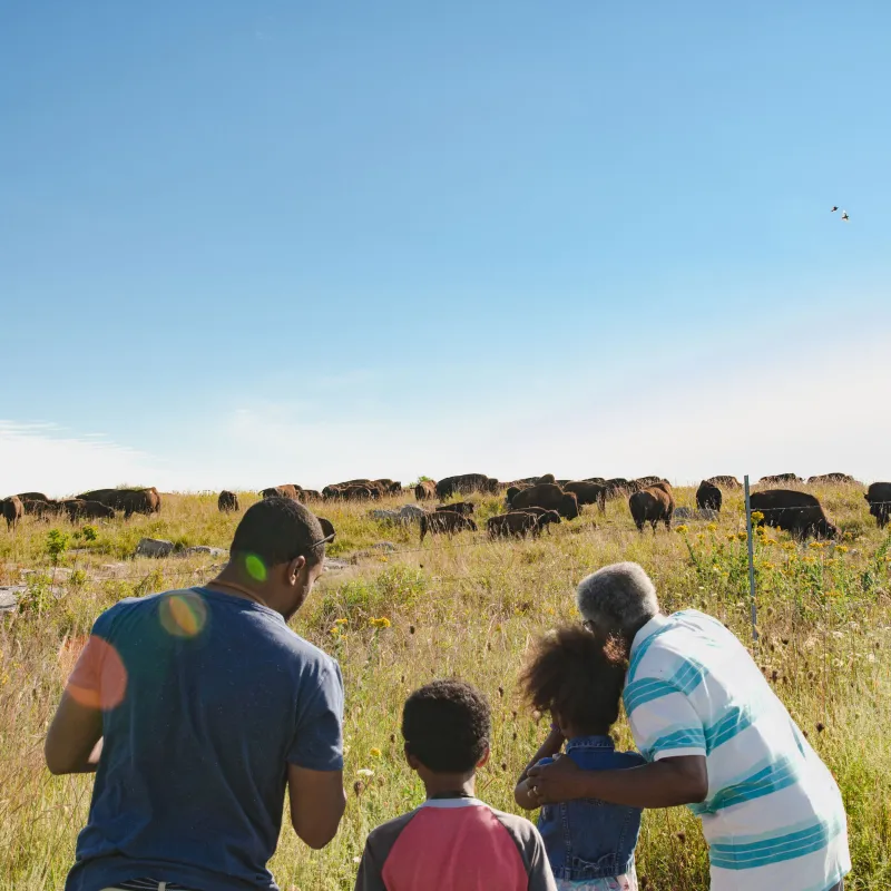 10 Things to Do This Summer 
