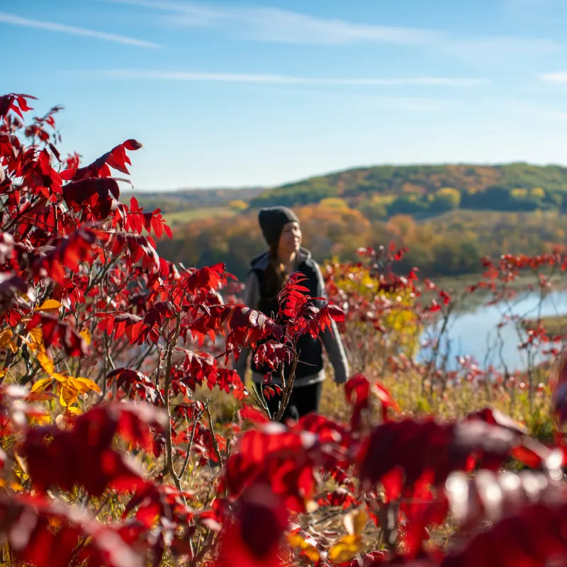 10 of the Best State Parks for Hiking 