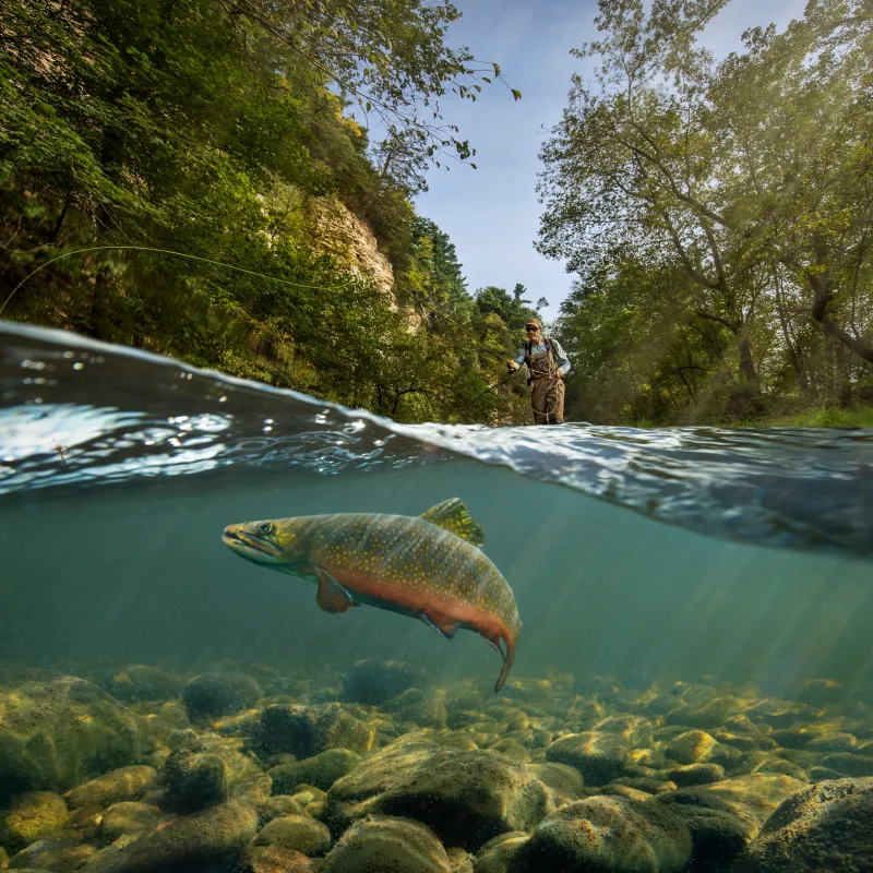 10 Reasons to Go Fishing in Minnesota