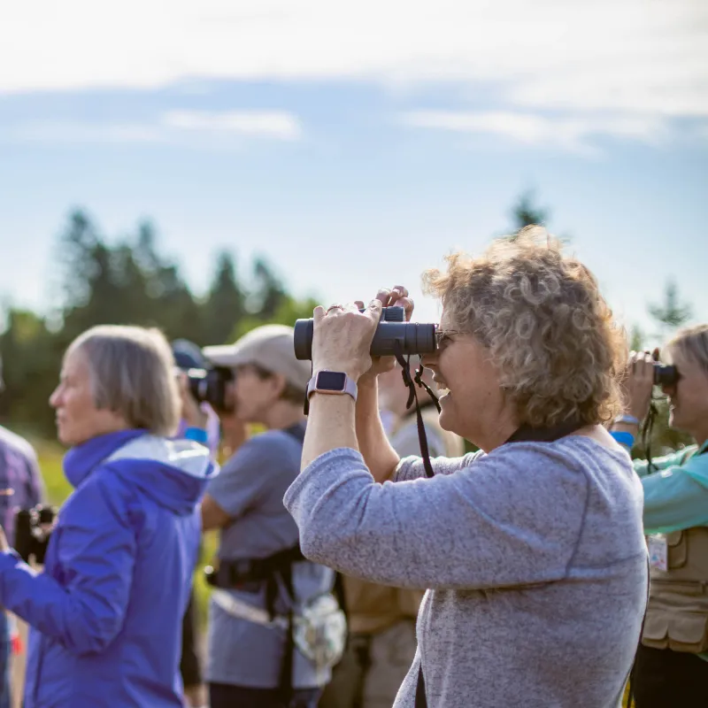 A Beginner's Guide to Birding 