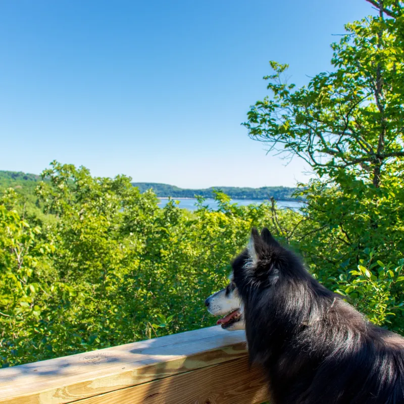 Where to Hike in Minneapolis-St. Paul 