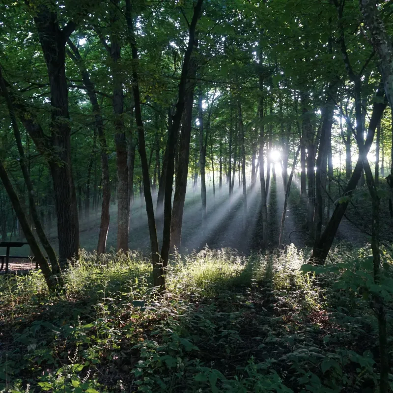 Minnesota's Best Hiking Trails 
