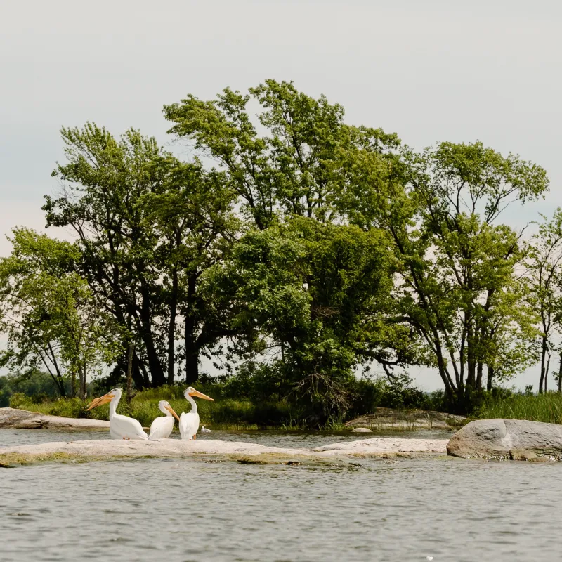 8 Things to Do at Voyageurs National Park