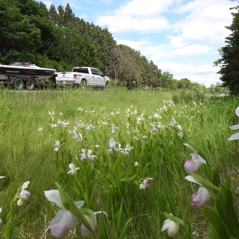 Minnesota's Best Scenic Byways 