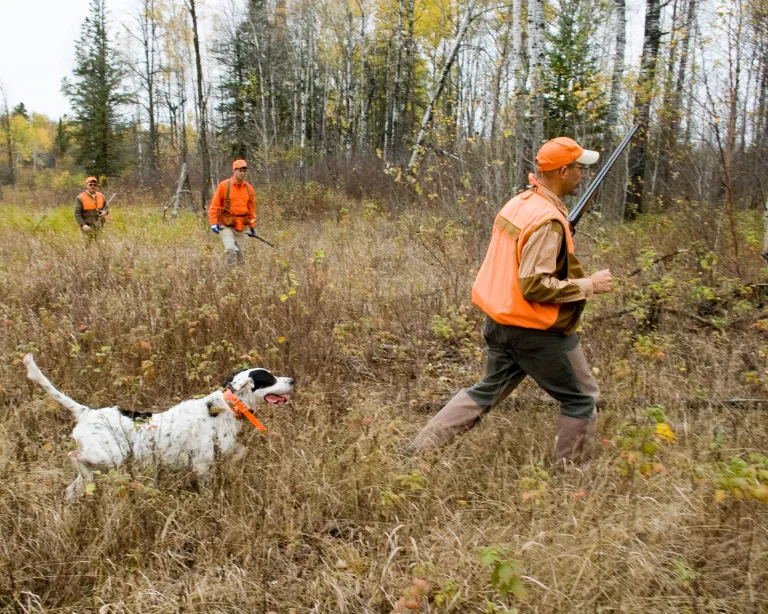 Hunters and dog in a field