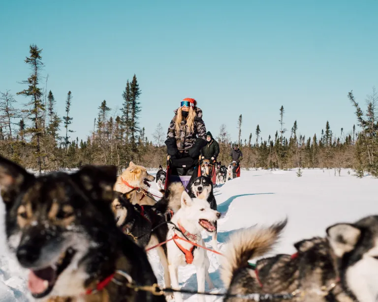 Carly Aplin riding a dog sled