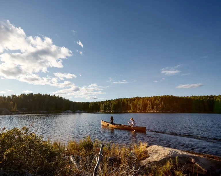 Couple canoeing on a clear, blue lake surrounded by dense pine forests