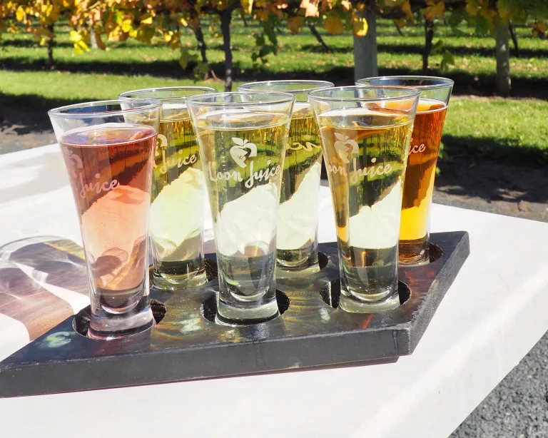 Loon Juice Cider sampler at Four Daughter’s Winery