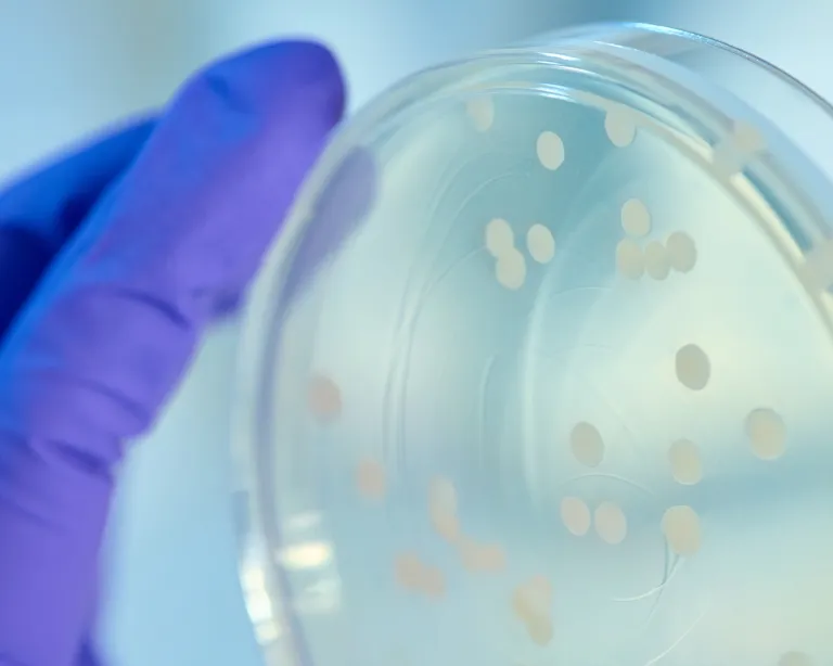 Microbiologics lab in St. Cloud